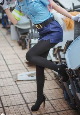 拉布拉多警长